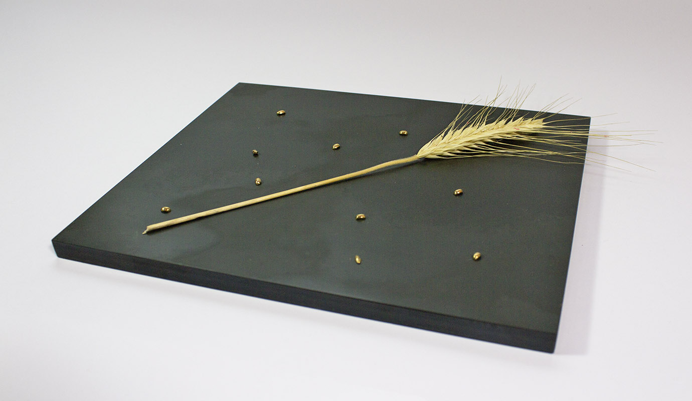 Ehre der Ähre  Goldähre, 12 cm lang,  mit 10 Weizenkörnern  auf Schieferplatte, 2014​